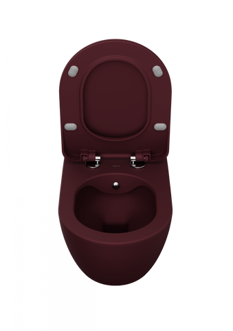 Franco Rimless Berry Wall Hung Combined Bidet Toilet With Soft Close Seat