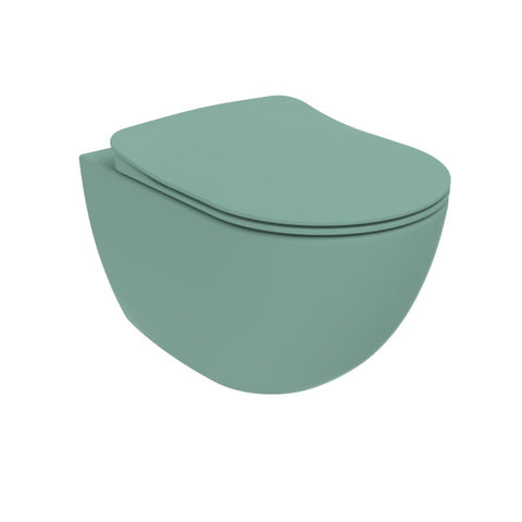 Franco Rimless Nile Green Wall Hung Combined Bidet Toilet With Soft Close Seat
