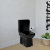 Laura BLACK Closed Couple Combined Bidet Toilet With Soft Close Seat