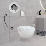 Short Projection Wall Hung Combined Bidet Toilet With Soft Close Seat - www.ultrabathroom.com