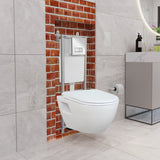 Short Projection Wall Hung Combined Bidet Toilet With Soft Close Seat - www.ultrabathroom.com