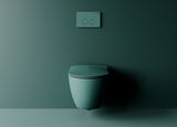 Franco Rimless Nile Green Wall Hung Combined Bidet Toilet With Soft Close Seat