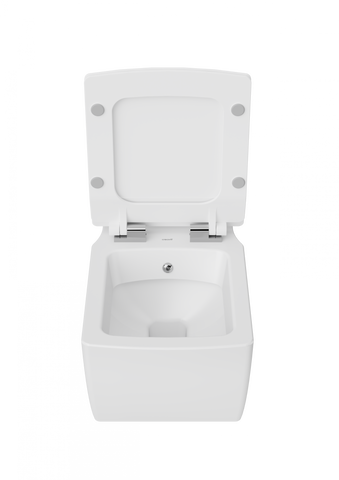 Taylor Wall Hung Combined Bidet Toilet With Soft Close Seat