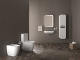 Franco Closed Couple Combined Bidet Toilet With Soft Close Seat - www.ultrabathroom.com
