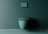 Franco Rimless Nile Green Wall Hung Combined Bidet Toilet With Soft Close Seat - www.ultrabathroom.com
