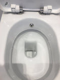 Modern Comfort Height Integrated Back to Wall Combined Bidet Toilet with Soft Close Lid - www.ultrabathroom.com