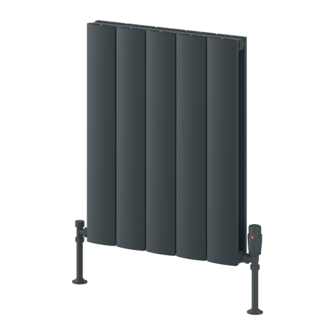 Reina Loco Double Horizontal Aluminium Designer Radiator - Anthracite - www.ultrabathroom.com