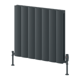Reina Loco Double Horizontal Aluminium Designer Radiator - Anthracite - www.ultrabathroom.com