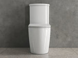 Salvo Integrated Rimless Hot and Cold Closed Couple Combined Bidet Toilet with Soft Close Seat - www.ultrabathroom.com