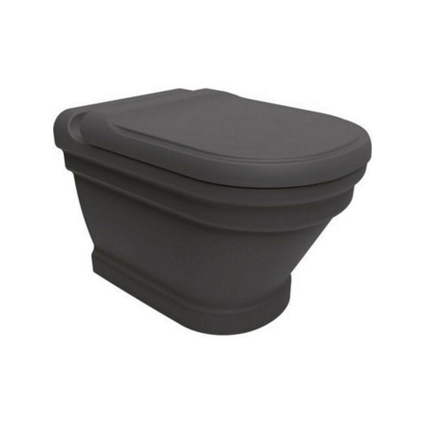 Efes Antique Anthracite Wall Hung Combined Bidet Toilet Soft Close Seat