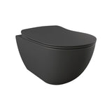 Franco Anthracite Wall Hung Combined Bidet Toilet Soft Close Seat