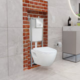 Short Projection Wall Hung Combined Bidet Toilet With Soft Close Seat