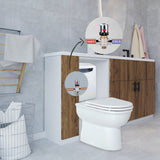 Celino Back To Wall Combined Bidet Toilet With Soft Close Seat - www.ultrabathroom.com