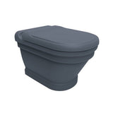 Efes Antique Basalt Wall Hung Combined Bidet Toilet With Soft Close Seat - www.ultrabathroom.com