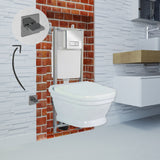 Efes Antique Wall Hung Combined Bidet Toilet With Soft Close Seat