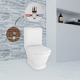 Efes Antique Closed Couple Combined Bidet Toilet With Soft Close Seat
