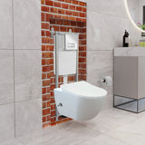 Franco Integrated Rimless Hot and Cold Wall Hung Combined Bidet Toilet With Soft Close Seat - www.ultrabathroom.com