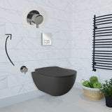 Franco Rimless Anthracite Wall Hung Combined Bidet Toilet With Soft Close Seat