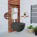 Franco Rimless Anthracite Wall Hung Combined Bidet Toilet With Soft Close Seat