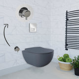 Franco Basalt Wall Hung Combined Bidet Toilet With Soft Close Seat
