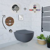 Franco Basalt Wall Hung Combined Bidet Toilet With Soft Close Seat