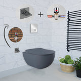Franco Rimless Basalt Wall Hung Combined Bidet Toilet With Soft Close Seat