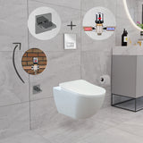 Franco Rimless Wall Hung Combined Bidet Toilet With Soft Close Seat