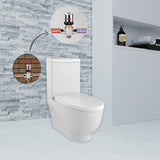 Mayor RIMLESS Closed Couple Combined Bidet Toilet With Soft Close Seat