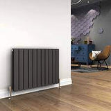Reina Flat Horizontal Double Panel Anthracite Finish Designer Radiator - www.ultrabathroom.com
