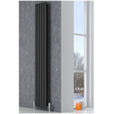 Reina Neva Vertical Double Panel Anthracite Finish Designer Radiator - www.ultrabathroom.com