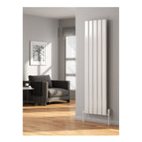 Reina Vicari Vertical Single Panel White / Anthracite Finish Aluminium Designer Radiator - www.ultrabathroom.com