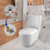 Stor XXL Closed Couple Combined Bidet Toilet With Soft Close Seat - www.ultrabathroom.com