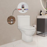 Valeria Closed Couple Combined Bidet Toilet With Soft Close Seat